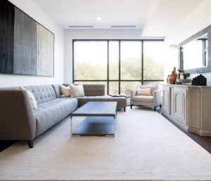 Area Rug for Your Living Room